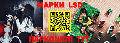 индика Партизанск
