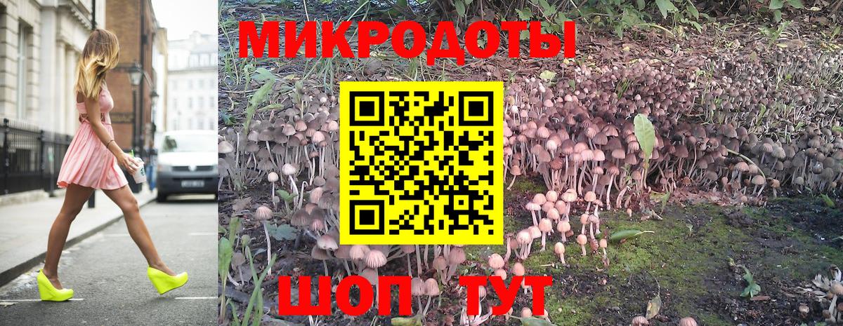 Псилоцибиновые грибы GOLDEN TEACHER Славгород