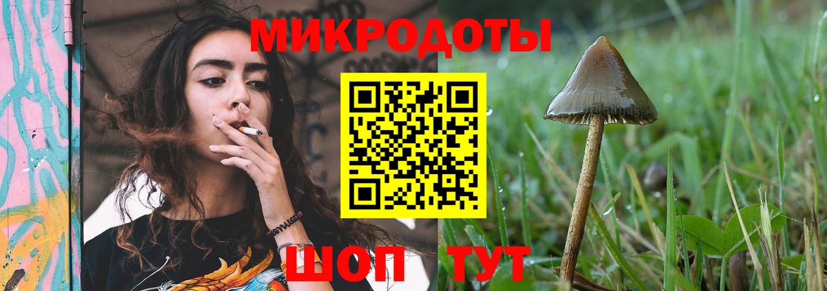 Славгород  Галлюциногенные грибы Magic Shrooms  Псилоцибиновые грибы Psilocybine cubensis  закладки  Вход с VPN 